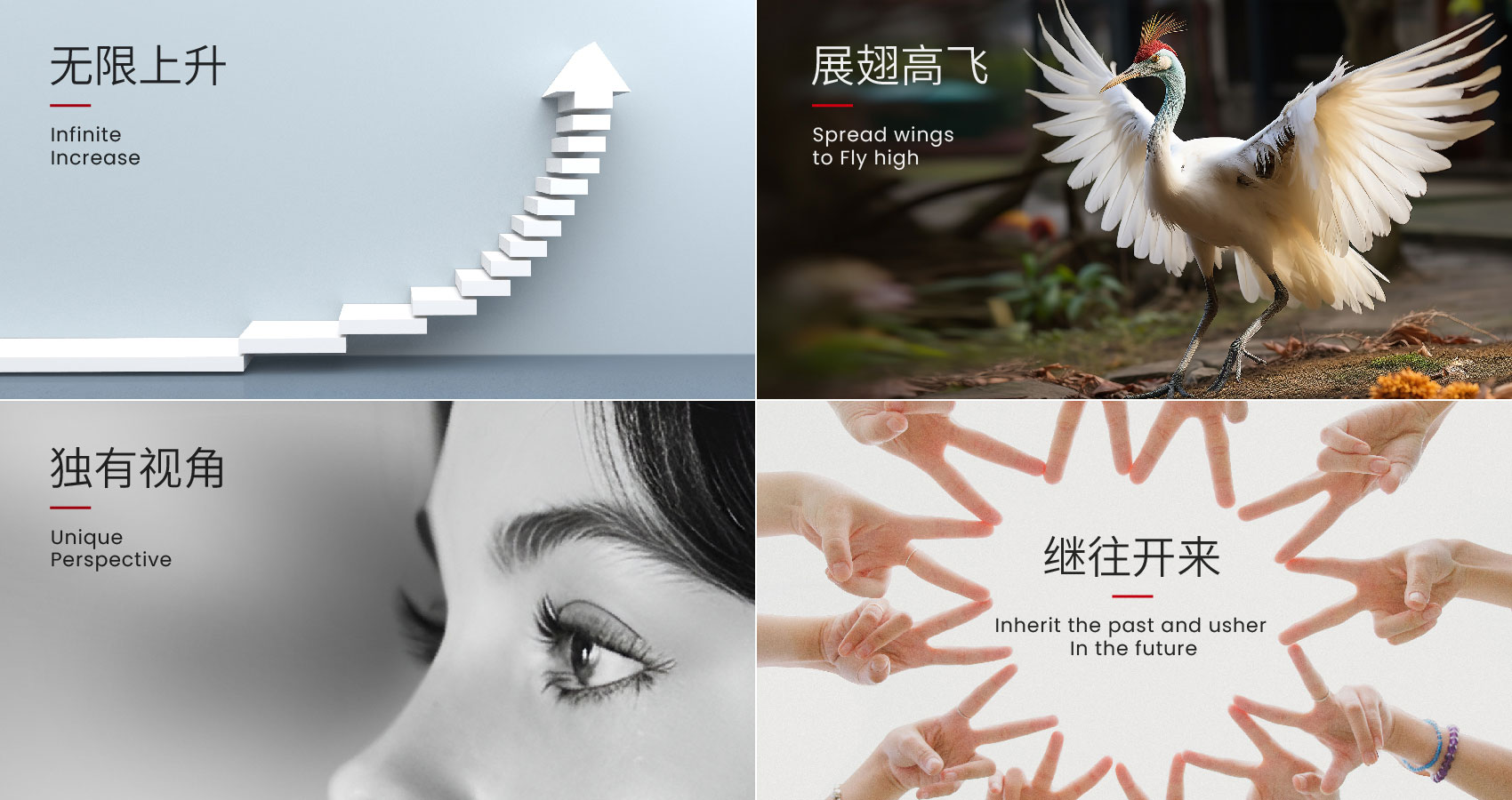 央视五周年-03.jpg