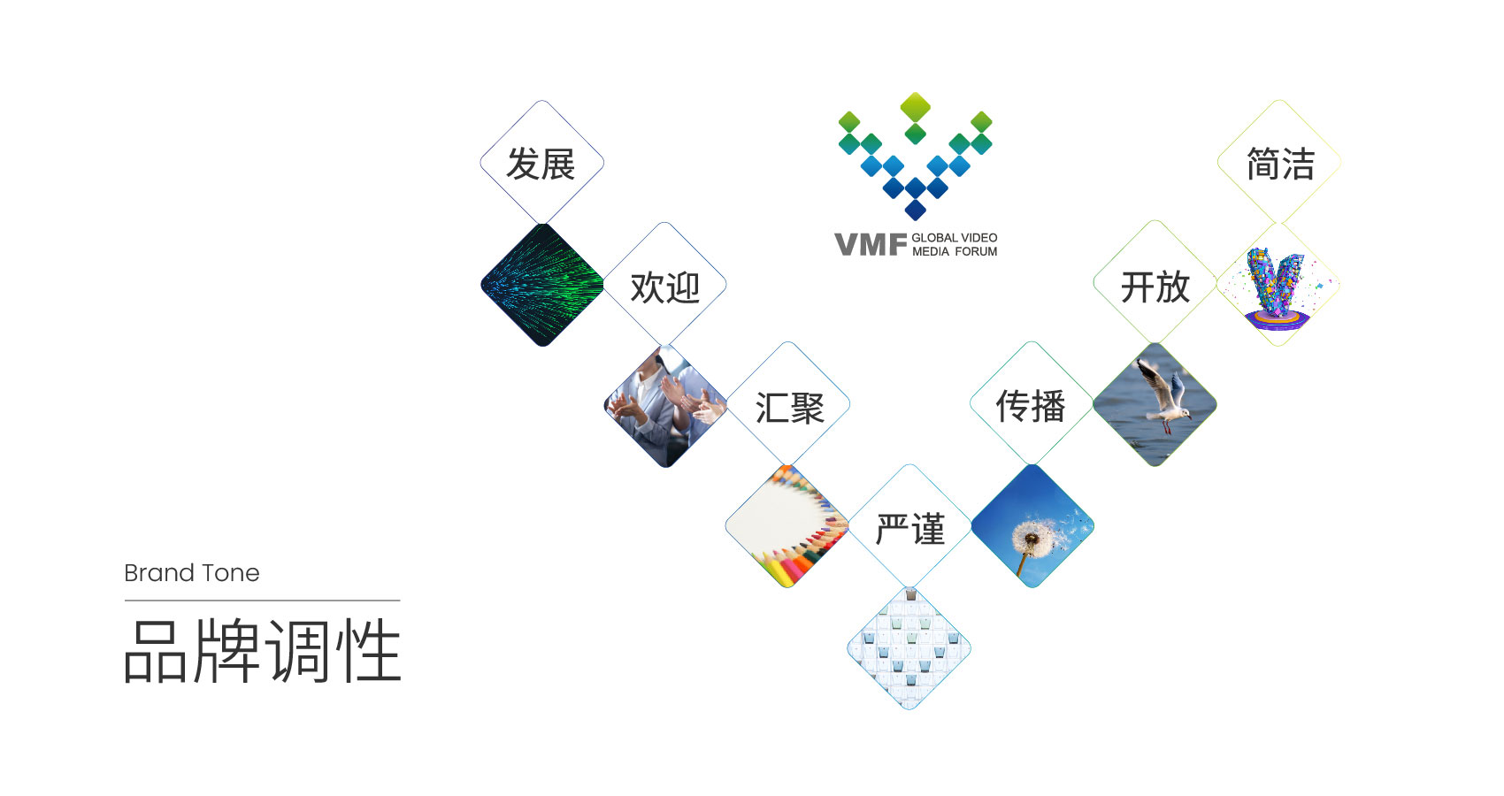 全球视频媒体论坛（VMF） (2).jpg